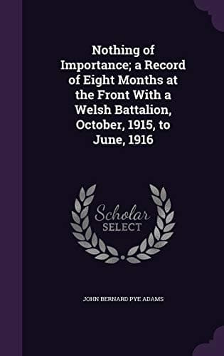 Nothing of Importance: A record of eight months at the front with a Welsh battalion, October, 1915, to June, 1916