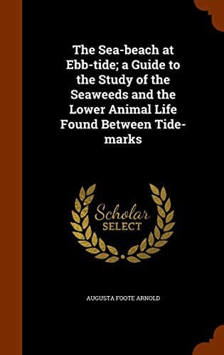 The Sea-beach at Ebb-tide: A Guide to the Study of the Seaweeds and the Lower Animal Life Found Between Tide-marks