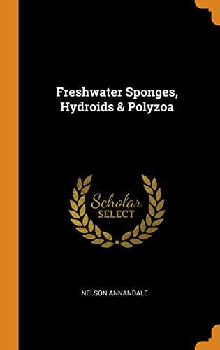 Freshwater Sponges, Hydroids & Polyzoa