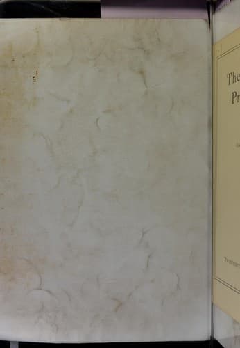 The causes of prostitution
