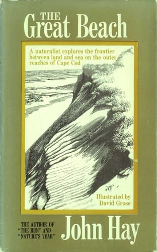 The great beach