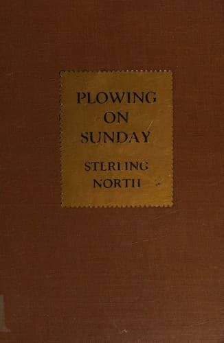 Plowing On Sunday