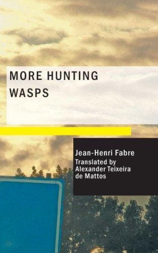 More Hunting Wasps