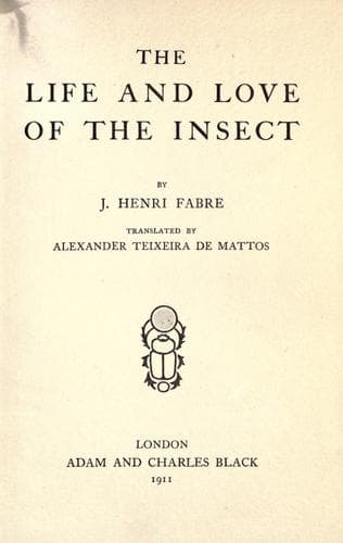 The Life and Love of the Insect