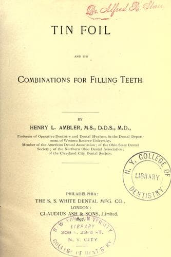 Tin Foil and Its Combinations for Filling Teeth