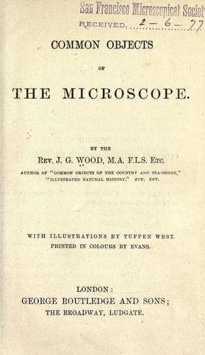 Common objects of the microscope