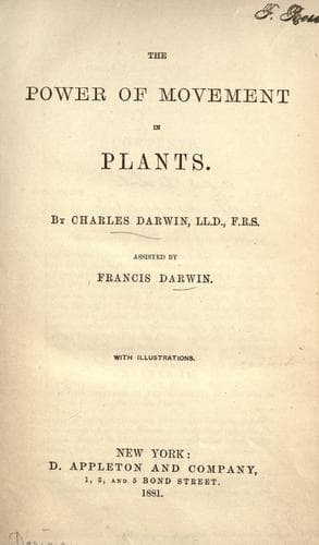 The Power of Movement in Plants