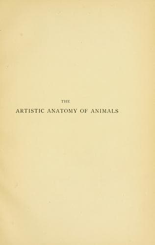 Artistic Anatomy of Animals