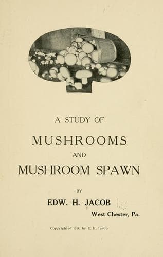 A study of mushrooms and mushroom spawn