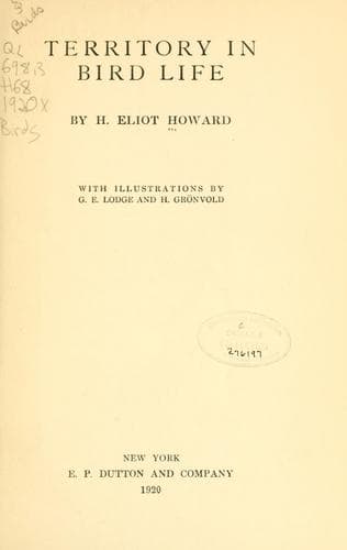 Territory in Bird Life