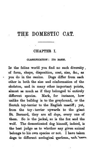 The Domestic Cat