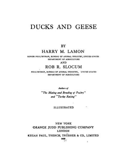 Ducks and Geese