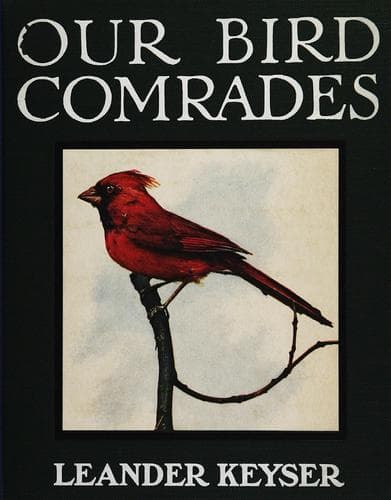 Our Bird Comrades