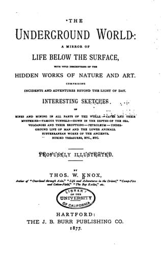 The Underground World: A mirror of life below the surface