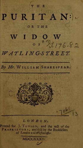 The Puritan Widow