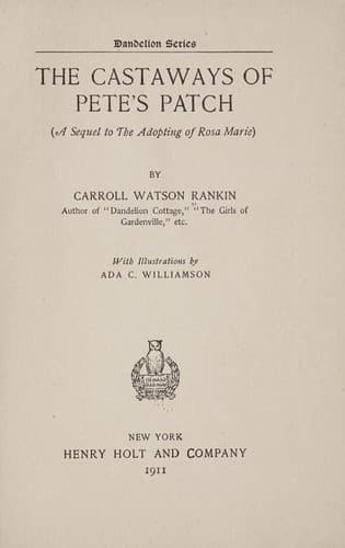 The Castaways of Pete's Patch: (A Sequel to The Adopting of Rosa Marie)