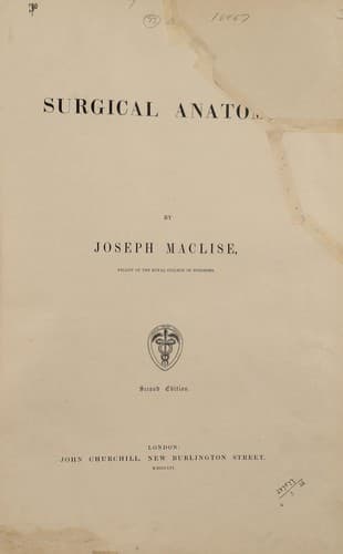 Surgical Anatomy