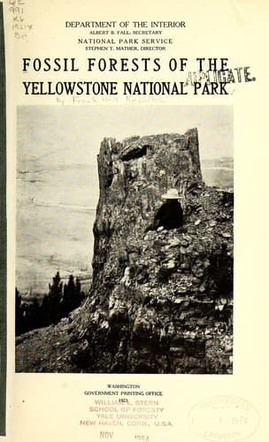 Fossil Forests of the Yellowstone National Park