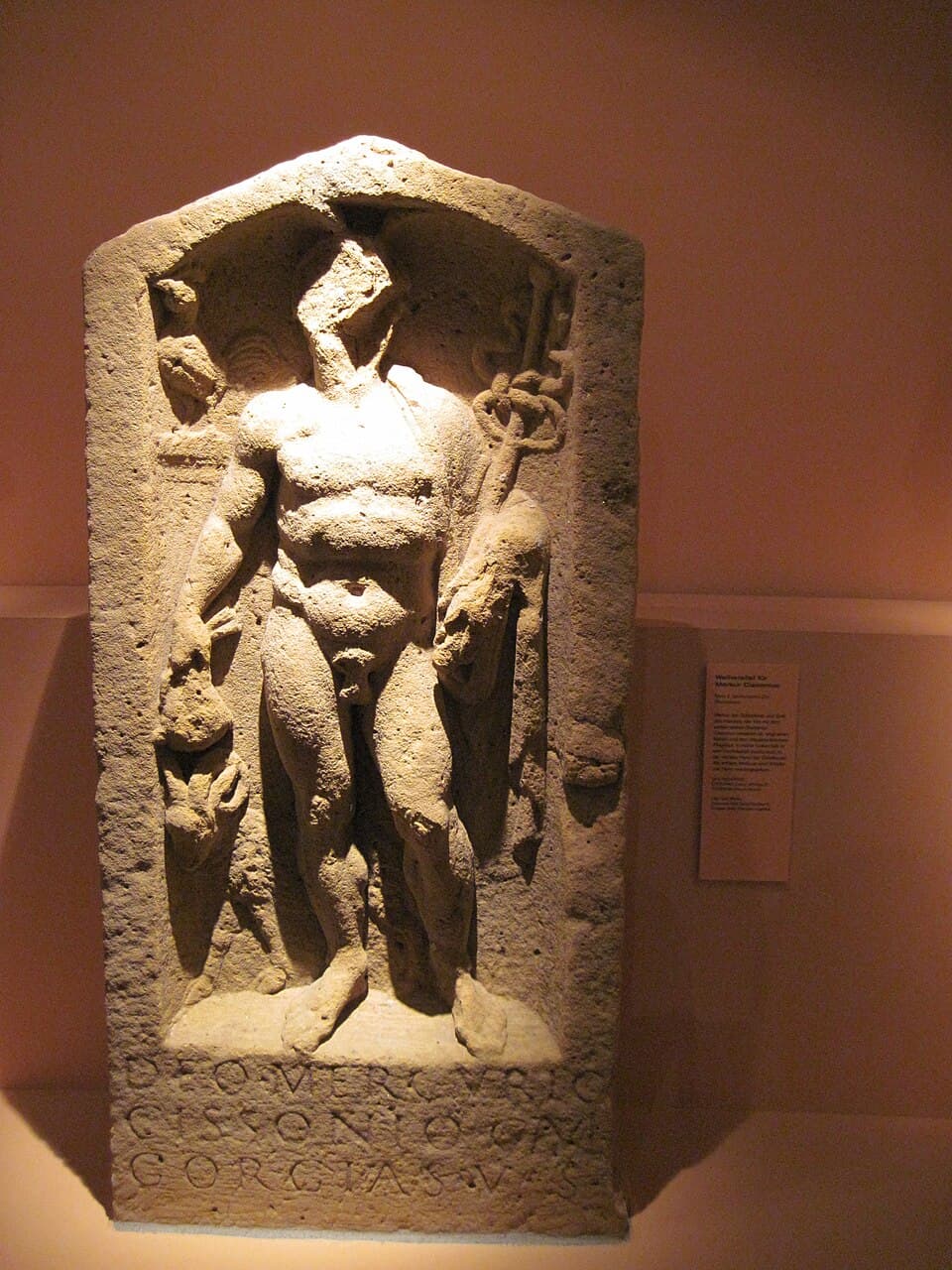 Cissonius
