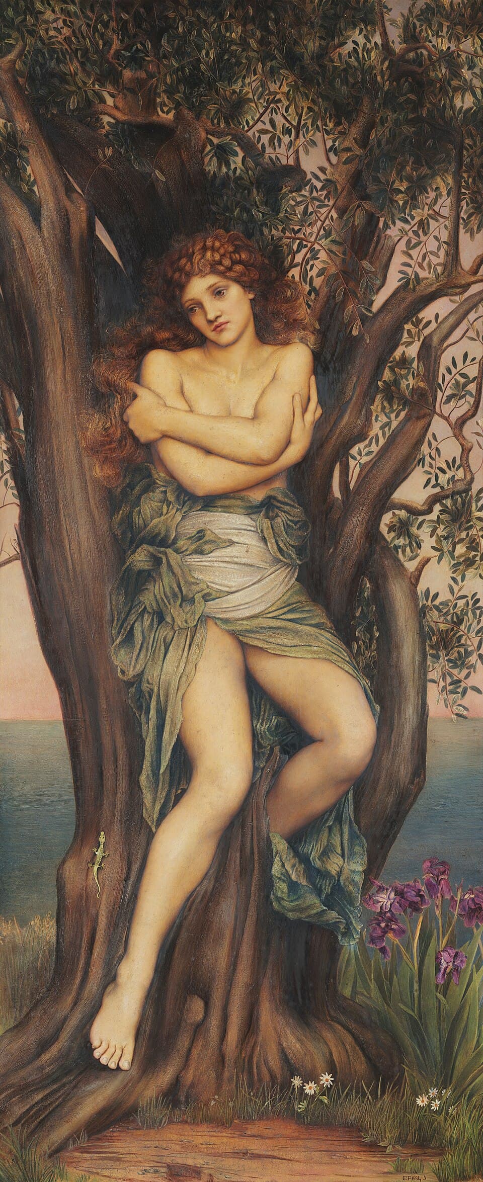 Dryad
