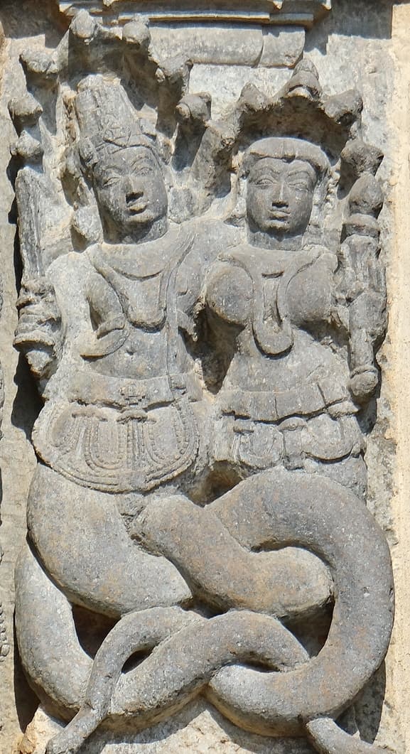 Nāga