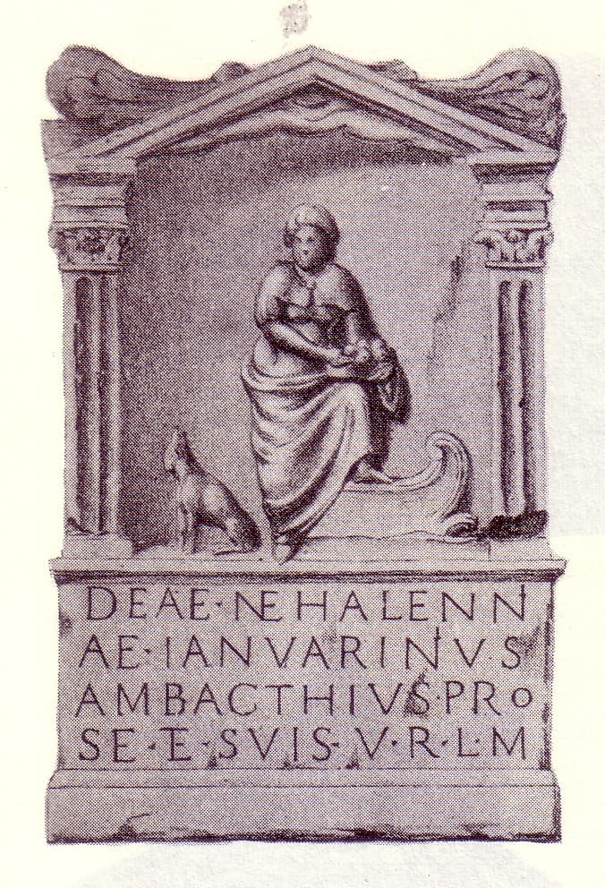 Nehalennia