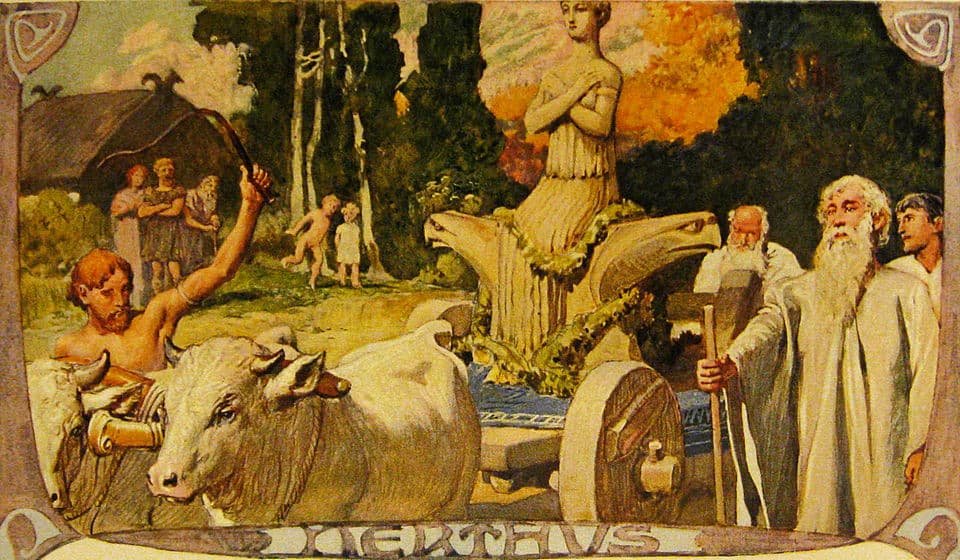Nerthus