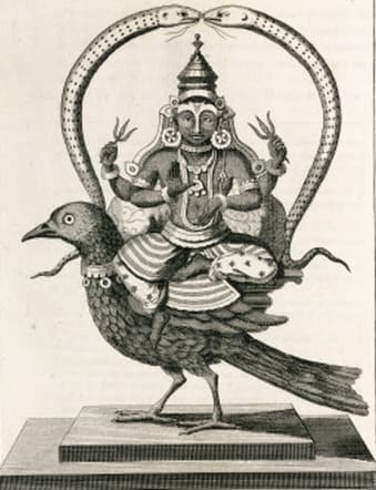 Shani