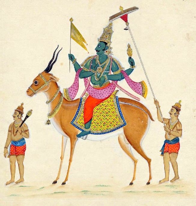 Shehbui