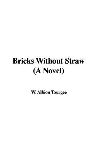 Bricks Without Straw: A Novel