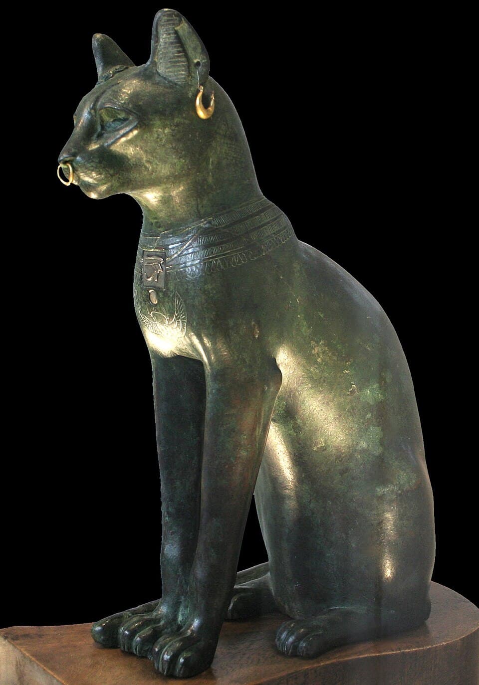 Animal worship