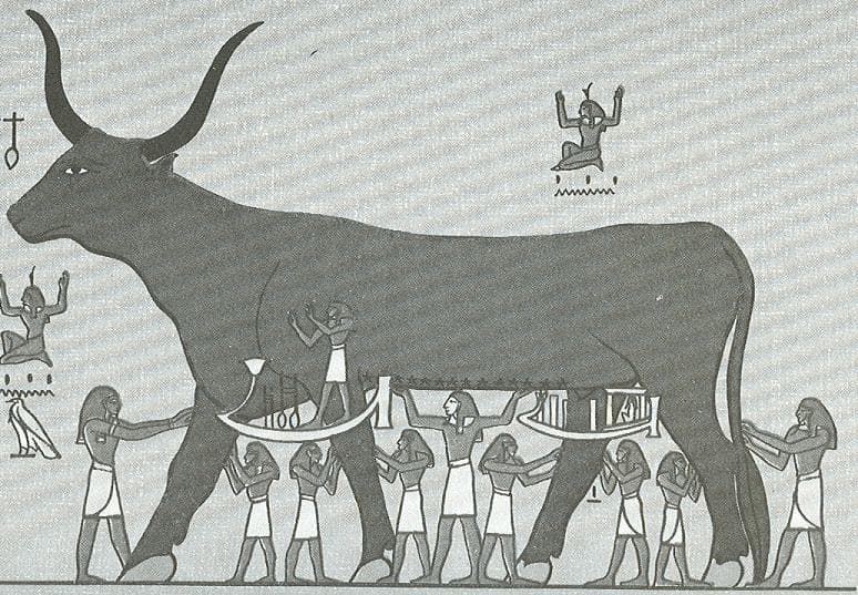 Book of the Heavenly Cow