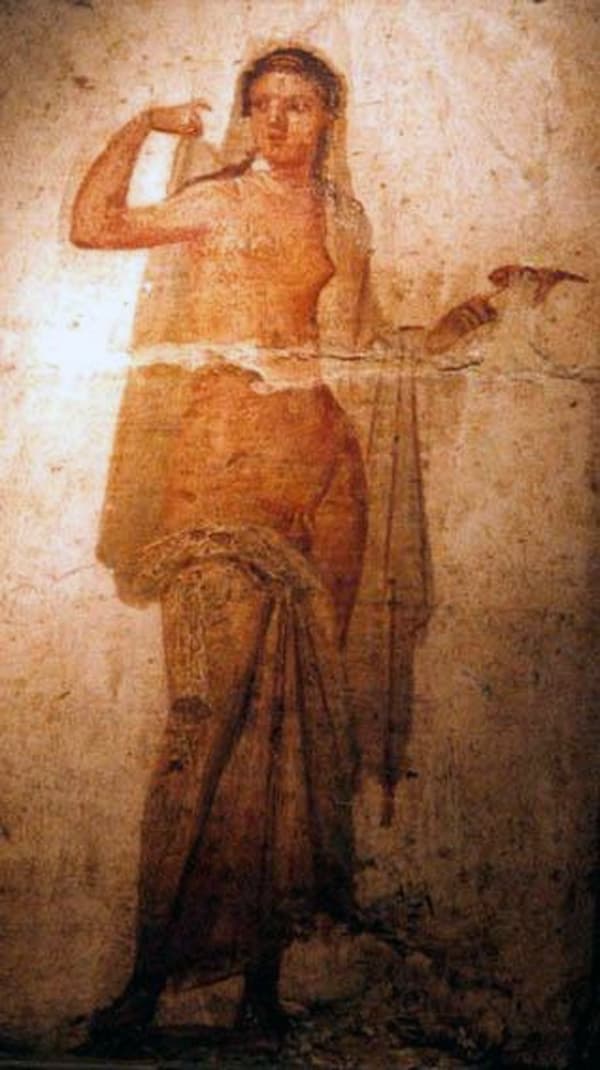 Hermaphroditus
