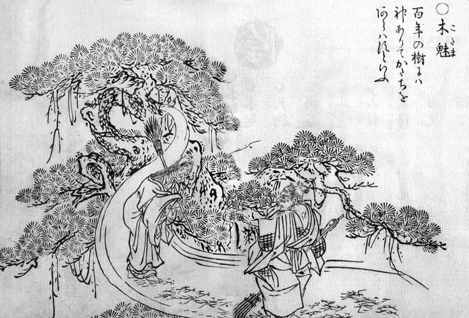 Kodama (spirit)