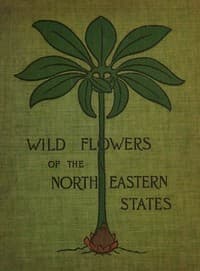 Wild flowers of the north-eastern states : $b Being three hundred and eight individuals common to the north-eastern United States